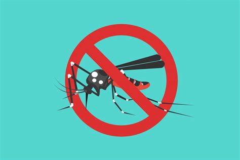 nea website dengue