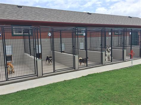nearby kennel for dogs