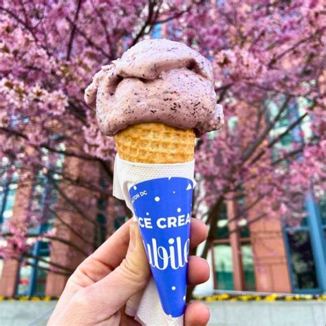 Nearest Ice Cream Stores