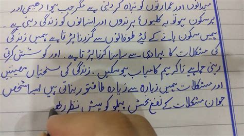 neat and clean meaning in urdu with example