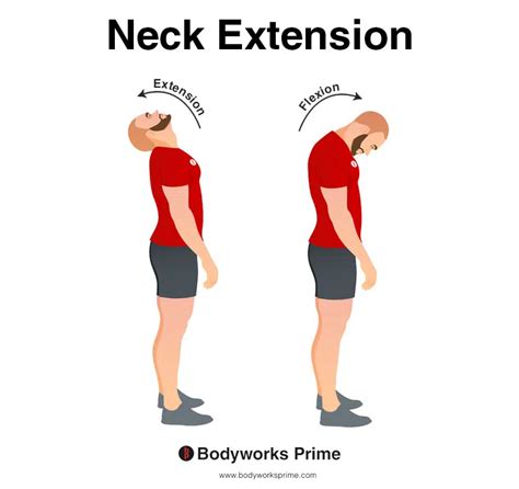 Neck Extension Form