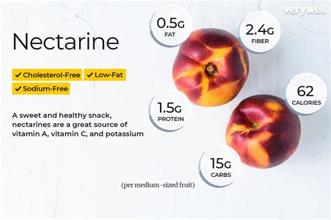 nectarine calories