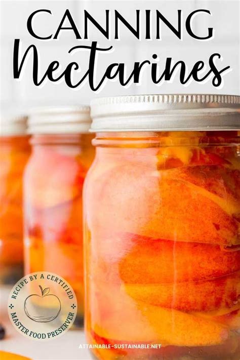 Nectarine Canning Time
