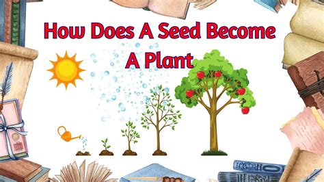 need for seed