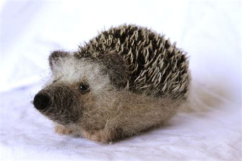 Needle Hedgehog