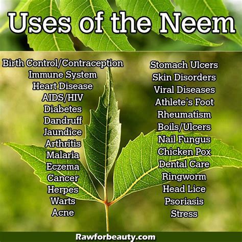 Neem Leaf Effects