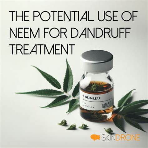 Neem Leaf Extract For Dandruff