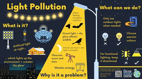 The Dark Side Of Light Pollution: Health And Environmental Risks