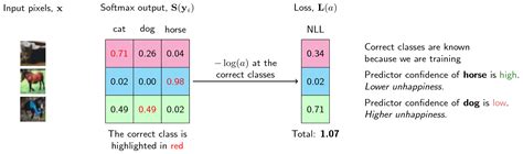 negative log likelihood loss function