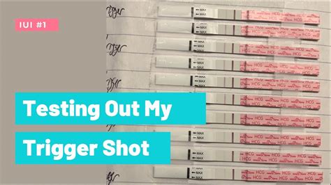 Negative Ovulation Test After Trigger Shot