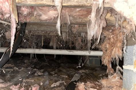 neglected crawl space problems