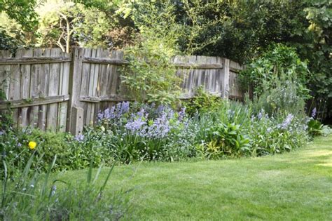 My neighbours trees are blocking my light and encroaching on my garden, what can I do?