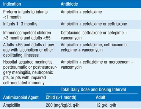 neisseria meningitidis drug of choice