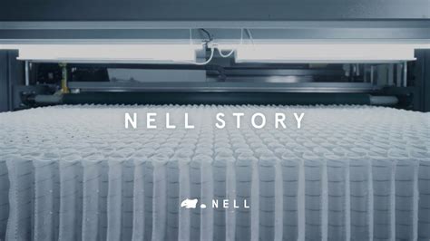 Nellstroy: A Journey Through Creativity And Innovation