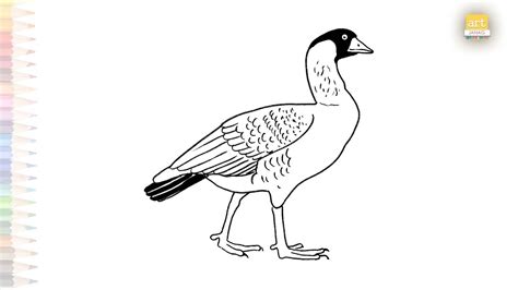 nene bird drawing