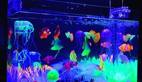 Neon Fish Tank Ideas Pin On s