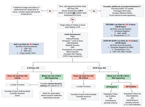 neonatal fever chop pathway