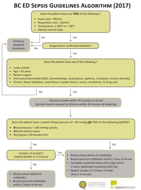 neonatal sepsis guidelines aap pdf