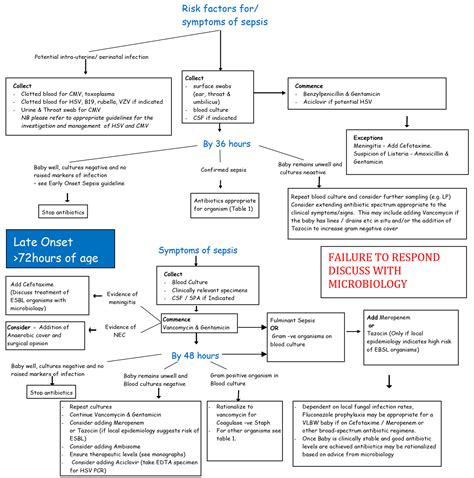 Neonatal Sepsis Treatment Algorithm