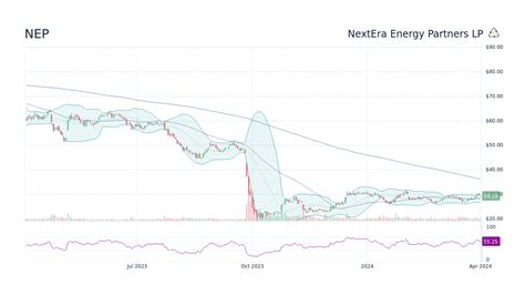 nep stock forecast 2025