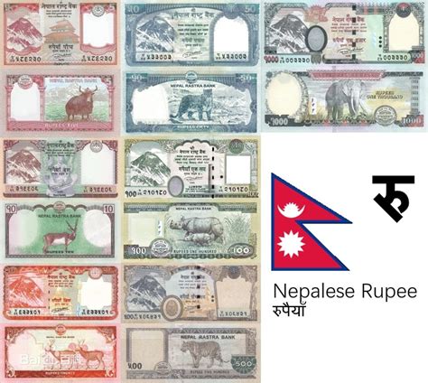 nepali rupee