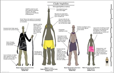 nephilim vs nephalem