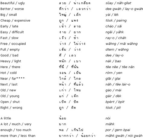 ner in thai language slang