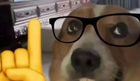 Dogemoji memes. Best Collection of funny Dogemoji pictures on iFunny