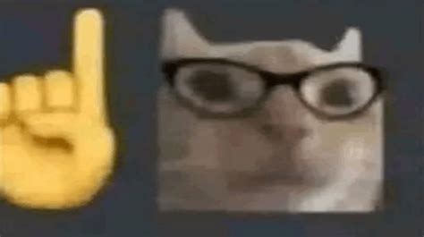 Nerd Cat Meme