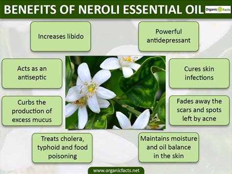 Health benefits of Neroli essential oil Neroli essential