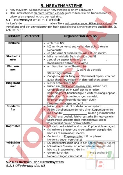 Nervensysteme von Mensch und Tier online lernen