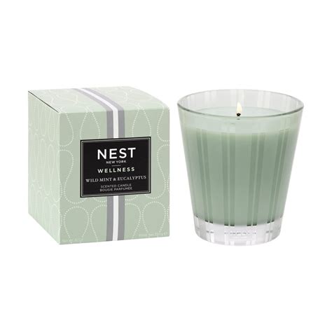 nest wild mint and eucalyptus candle