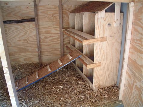 Nesting Boxes Chicken Roost