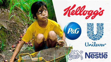 nestle palm oil issue