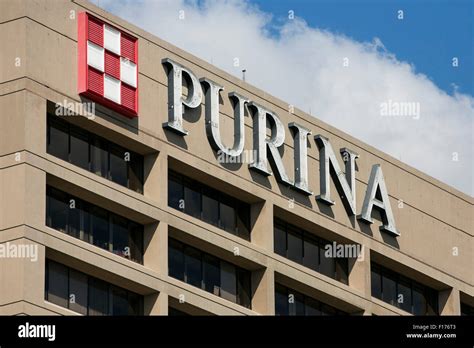 nestle purina saint louis