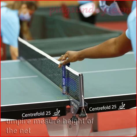 Net Height And Table Tennis