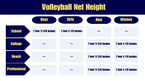 Net Height Volleyball High School