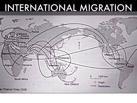 net international migration definition