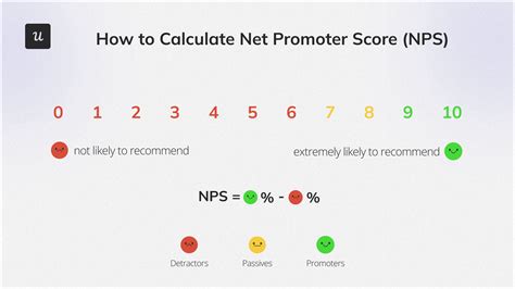 Net Loyalty Score Calculation