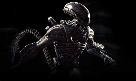 net xenomorph