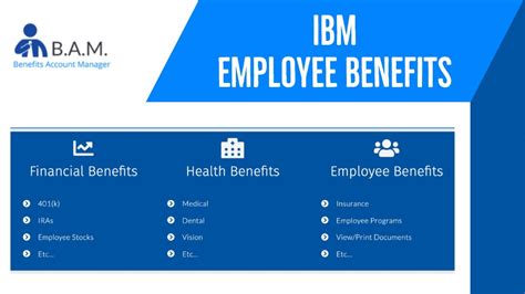 netbenefits ibm
