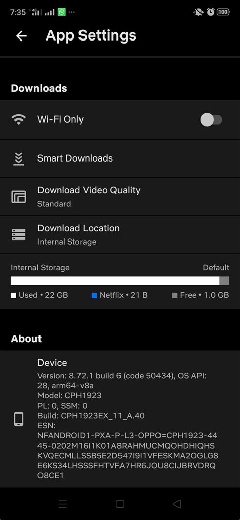 netflix 1 device