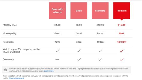 Netflix Account Amount