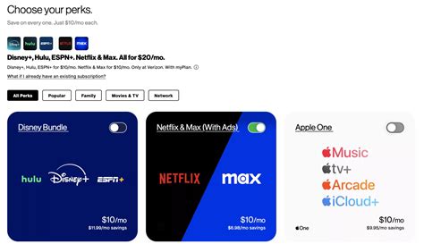 netflix account bundle