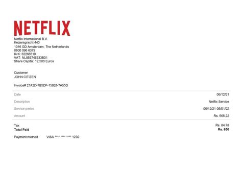 netflix account example