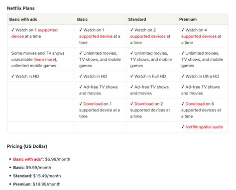 netflix account rules
