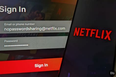 Netflix Account Sharing Rules