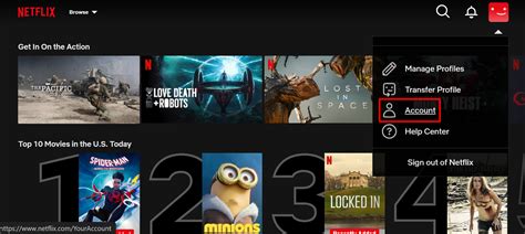 Netflix Account Types
