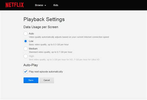 netflix account usage