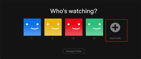 netflix account users